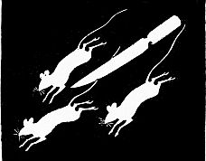 drawing mice and knife on black background