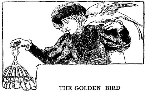 THE GOLDEN BIRD