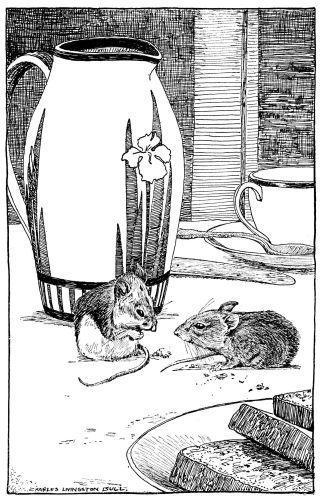two mice by coffee pot