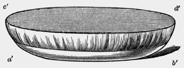 covered
bowl