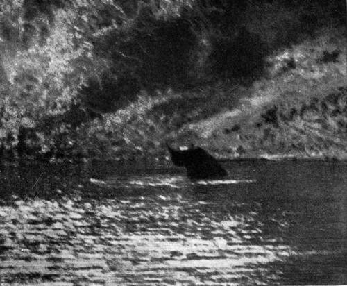 Rhino sinking in water, blurred