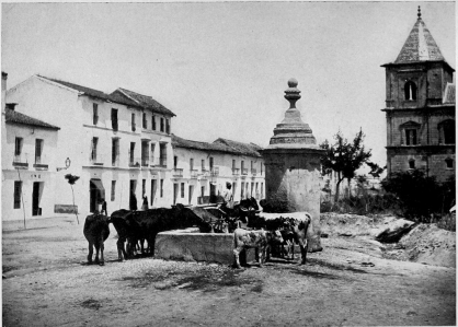 A DRINKING FOUNTAIN IN SEVILLE.

Photo Levy et Fils