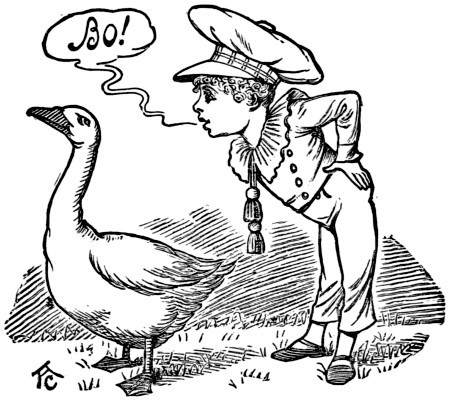 boy annoying goose