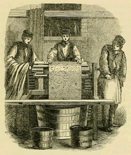 (‡ Dyeing Process.)