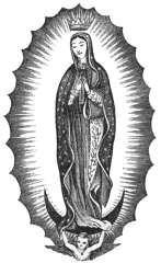 THE VIRGIN OF GUADALUPE.