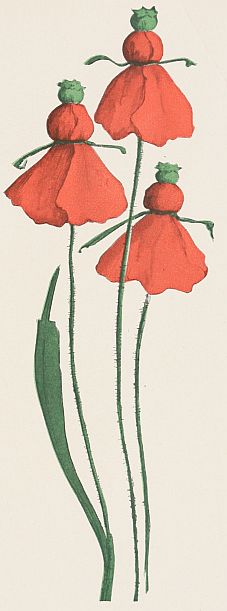 Poppies with their petals tied under the seed pod to make dresses, still on stems