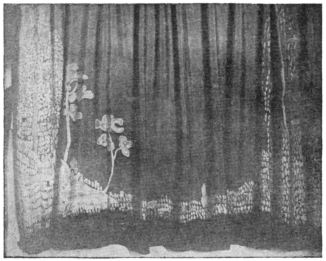A batik patter curtain