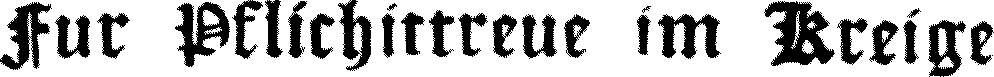Fur Pflichirtreue im
Kreige