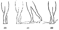 Image not available: 20 21 22

“Glissade.”

The essential gliding feature of the step is indicated in the movement
of the left foot along the floor, figure 21.