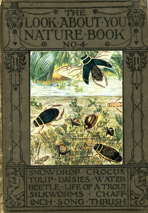 The Look About You Nature Book, No. 4
