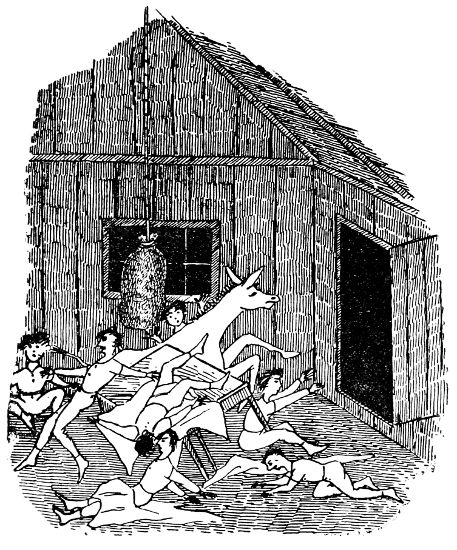 The Guanaco Episode.