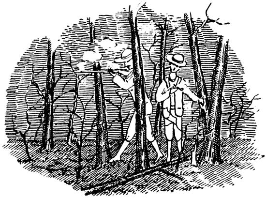 L&mdash; and F. W. Shot With the P. of W. When He Was Here
(in Chicago), Missed His Injin.