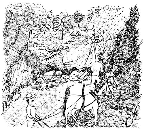 1900&mdash;Beginning of the D&mdash;&mdash;.