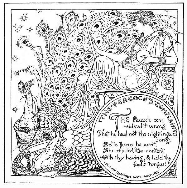 Black and white: Peacock's complaint: The Peacock considered it wrong That he had not the nightingale’s song; So to Juno he went, She replied, “Be content With thy having, & hold thy fool’s tongue!” DO NOT QUARREL WITH NATURE