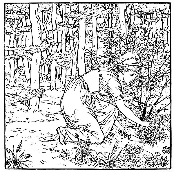 black and white: lady digging up plant in forest