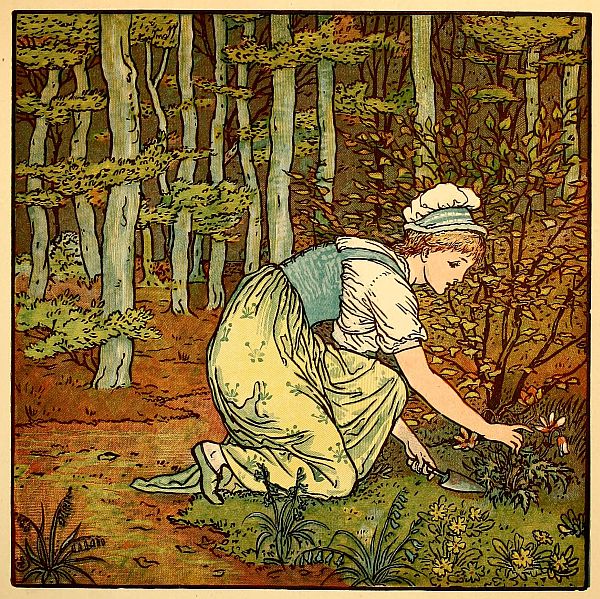 colour: lady digging up plant in forest