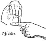Middle