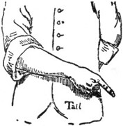 Tail