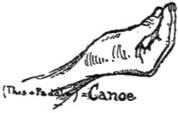 Canoe of birch bark