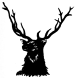 [Image not available]