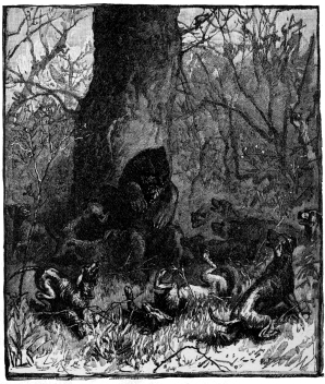 [Image not available]