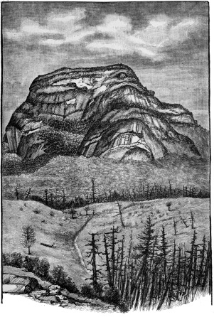 [Image not available]