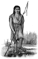 [Image not available]