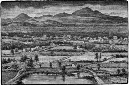 [Image not available]