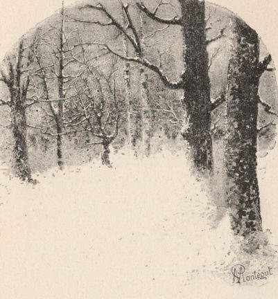 The forest under snow
