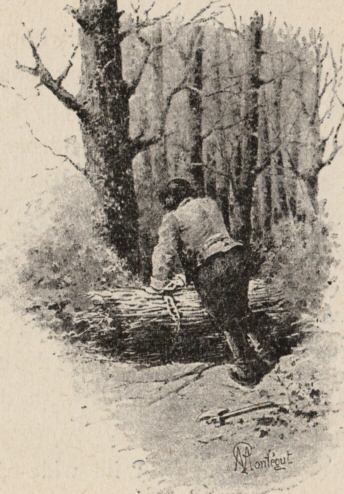 Robert gathering wood