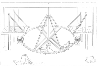 Image not available: Pl. 5.

ASINUS OR JUMENTARIÆ MILL.