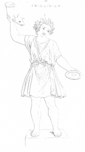 Image not available: Pl. 28.

PROCILLATORES.