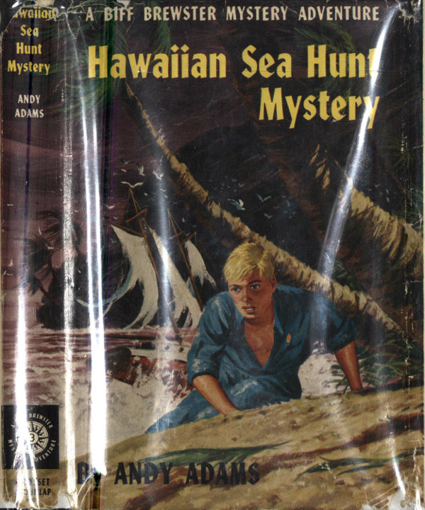 Hawaiian Sea Hunt Mystery