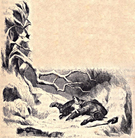 The hunter lying in
the snow, with Bruno over him