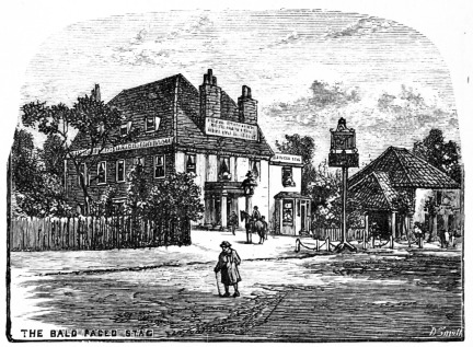 Image not available: BALD-FACED STAG.

(Buckhurst Hill.)