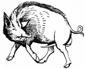 Image not available: THE WHITE BOAR.

(Badge of Richard III.)