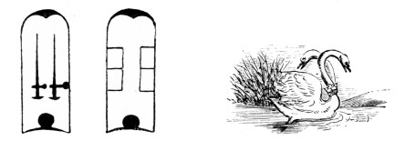 Image not available: SWAN BILLS WITH TWO NICKS.

(After Yarrell.)