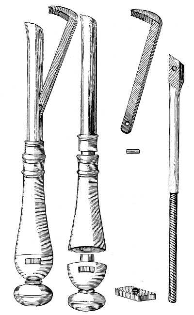 An instrument especially destined to extract loose bicuspid teeth.