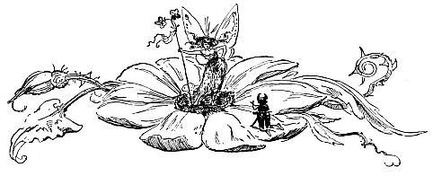 fairy in a flower