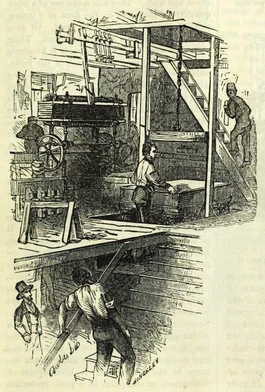 The Project Gutenberg eBook of Godey's Lady's Book February 1854, by ...