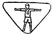 scout standing with arms outspread