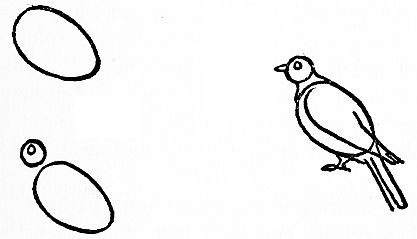 diagram of drawing  a bird