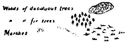 Fir trees, decidious trees and marshes