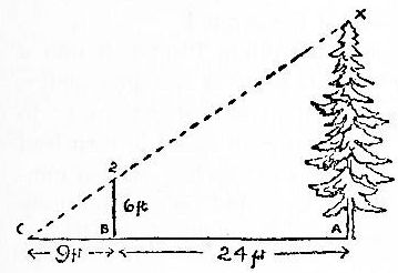 diagram on estmating height