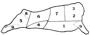 veal diagram