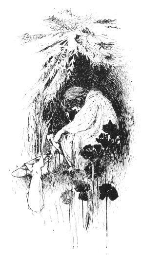 [Image unavailable.]