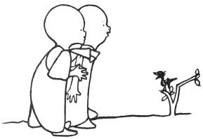 [Image unavailable.]