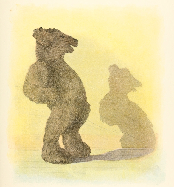 bear stand with shadow beside