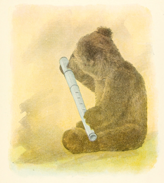 bear sitting looking at recorder
