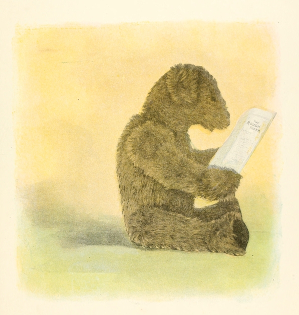 bear sitting reading the paper